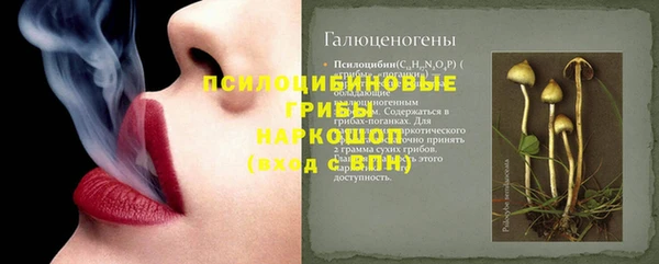 Альфа ПВП Володарск