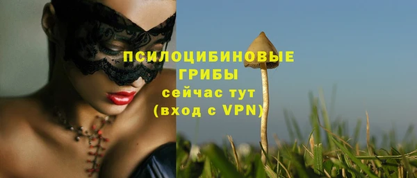 кокс Медвежьегорск
