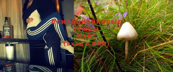 спиды Мегион